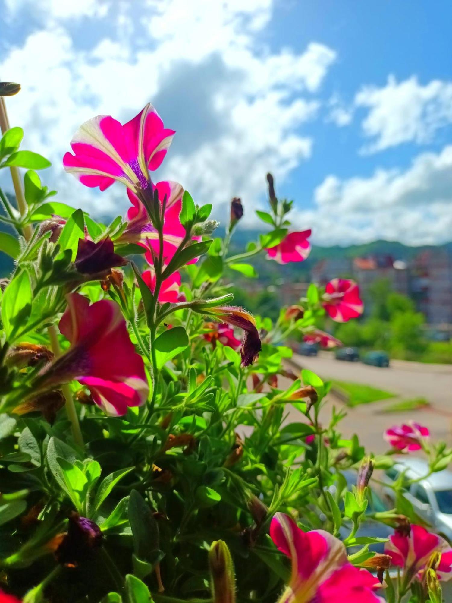 Spacious And Modern Apartment In Town Center Konjic Buitenkant foto